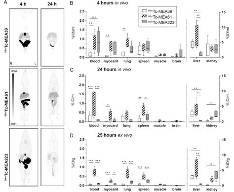 Late Time Point In Vivo Biodistribution Of Barbiturates In Adult