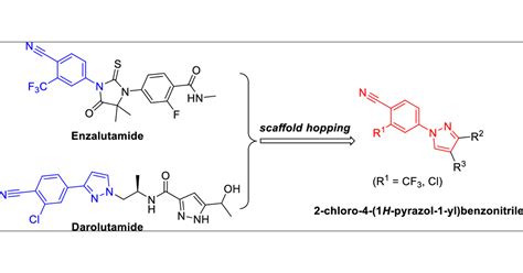 Discovery Of Chloro Cyanophenyl H Pyrazol Yl Acetamides