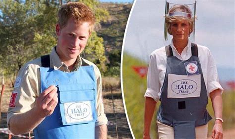 Prince Harry Pays Tribute To Mother Dianas Controversial Work Land