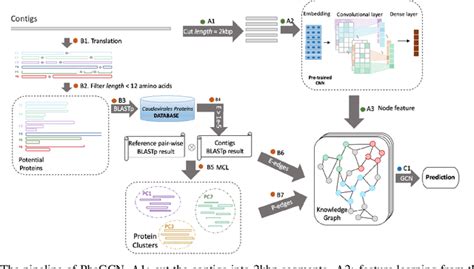 Bacteriophage classification for assembled contigs using Graph Convolutional Network: Paper and ...