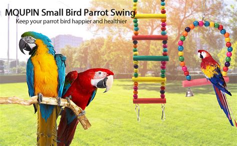 Mqupin Parrot Bird Toys Jouets Et Accessoires Pour Perruches Paquets