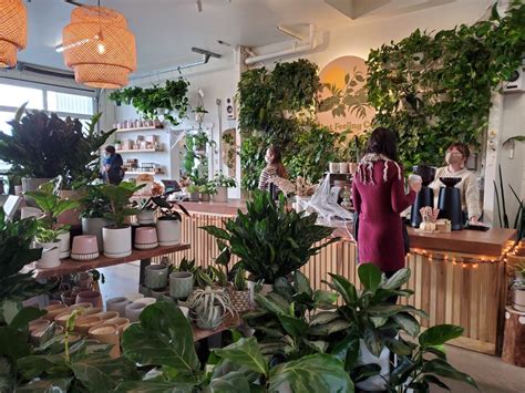 The Dreamiest Cafes And Coffee Shops In The U S And Canada For Plant