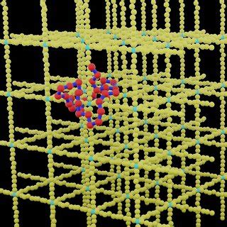 Schematic diagram of linear polymer in semi-flexible polymer network ...