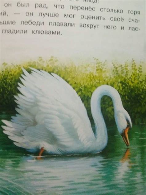 Книга: Гадкий утенок - Ханс Андерсен. Купить книгу, читать рецензии ...