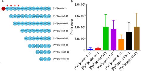 N Terminal Metabolites Of [pyr 1 ]apelin 13 Identified From Human Download Scientific Diagram