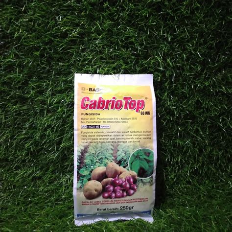 Fungisida Cabriotop Wg Gr Bahan Aktif Metiram Persen