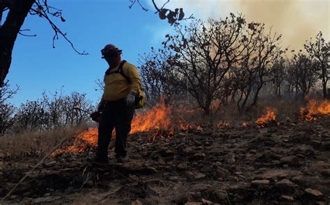 Incendio forestal en San Dimas lleva 13 días activo