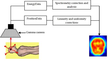 Principles and Applications of Nuclear Medical Imaging: A Survey on ...