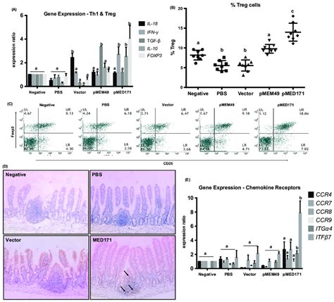 Th1 Treg And Chemokine Responses With Pmem49 And Pmed171 Treatment