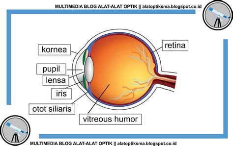 Mata Dan Fungsinya