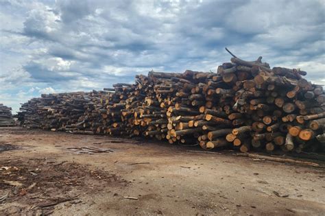 Wholesale Firewood in Denver, PA- Firewood Central Wholesale