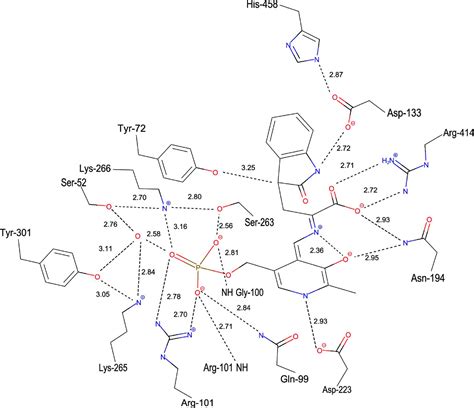(IUCr) The crystal structure of Proteus vulgaris tryptophan indole ... 