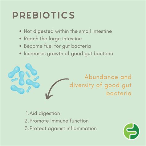 How Pre, Pro, and Postbiotics can help manage your IBS | FODMAP Friendly