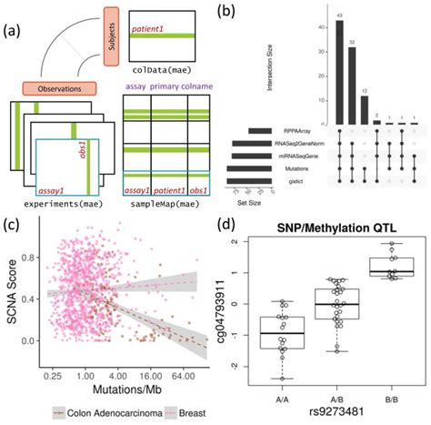 Software for the Integration of Multiomics Experiments in Bioconductor ... 