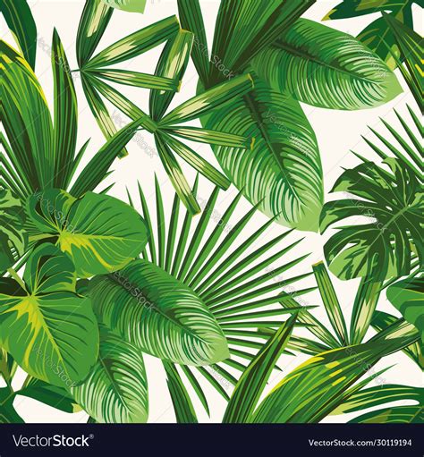 Tropical Green Leaves Seamless White Background Vector Image