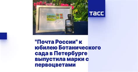 "Почта России" к юбилею Ботанического сада в Петербурге выпустила марки ...