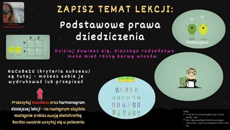 Podstawowe Prawa Dziedziczenia Lekcja Multimedialna