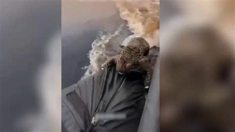 Klötze Mann bei Sex mit Pferd gefilmt Polizei jagt Tierquäler