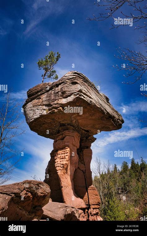 The Teufelstisch Rock Formation In Hinterweidenthal Stock Photo Alamy