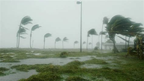 Uragano Milton Live Dove Si Trova Ora E Quando Arriva In Florida