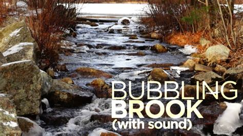 Bubbling Brook, Stock Footage | VideoHive