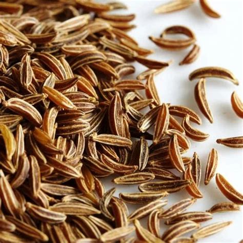 Shah Jeera Caraway Seeds At Best Price In Agra By M M Herbal ID