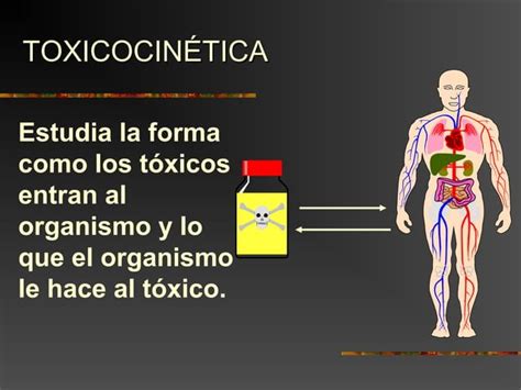 Toxicocinetica Ppt