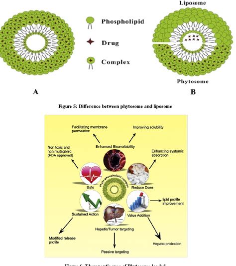 Pdf Phytosome Loaded Novel Herbal Drug Delivery System A Review