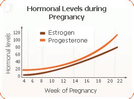 Mood Swings during Pregnancy | Menopause Now