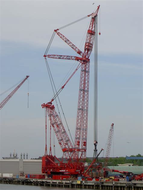 Ptcplatform Twinring Crane 35 Dsdouble Stacked Mammoet — Каталог КВХ