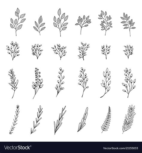 Bloom Collection Royalty Free Vector Image Vectorstock