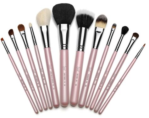 Sigma Professional Makeup brush Set