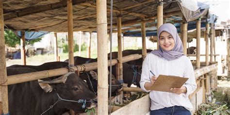 Hukum Fikih Kurban Lengkap Apa Itu Kurban Dasar Hukum Dan Syarat