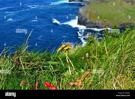 Ireland Ring of Kerry Stock Photo - Alamy