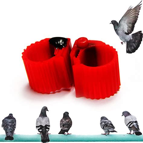 Amazon Itapring Pcs Rfid Mm Bird Leg Rings Khz Iso