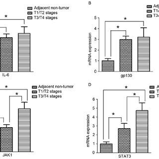 MRNA Expression Of IL 6 Gp130 JAK1 And STAT3 In Human Gastric Cancer