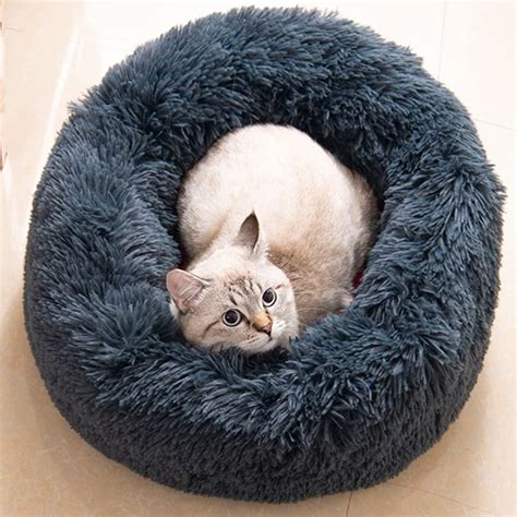 Amazon.com : Cat Beds for Indoor Cats - Large Cat Bed Washable 24 ...