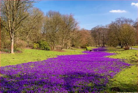 Wunderschönen Frühling Lässt Sein Blaues Band Grundschule Arbeitsblatt