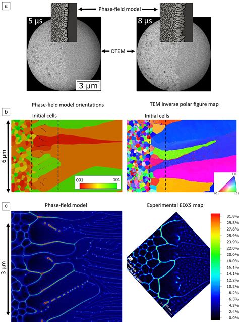 Solute Trapping In Rapid Solidification Mrs Bulletin Cambridge Core