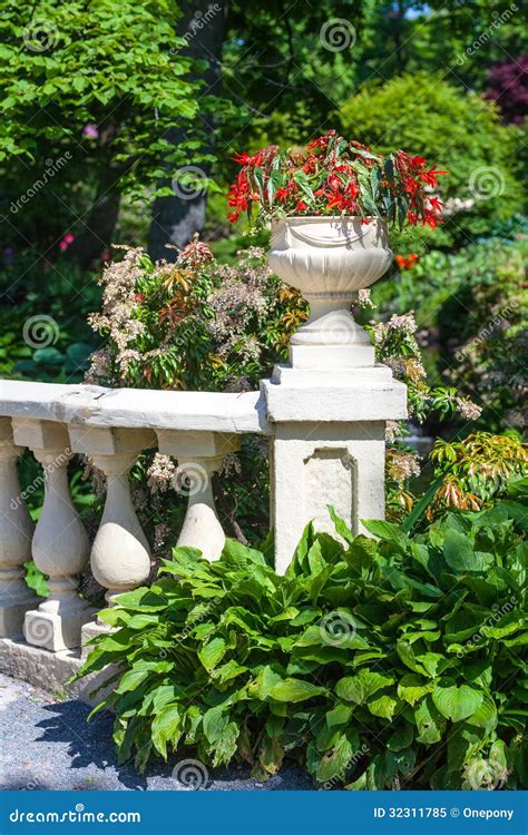 Begonia Planter Stock Image Image Of Floral Planting 32311785