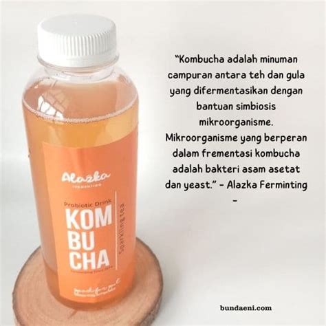 Mengenal Kombucha Dan Beragam Manfaatnya