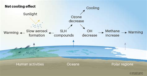 Natural Halogen Containing Compounds Cool The Climate