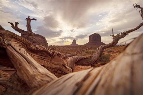 A Photographer's Guide to Northern Arizona, USA - Arizona Photography