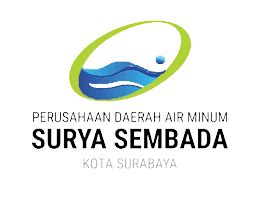 PT Cahaya Prima Solusi Businees IT Consultant