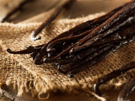 The Ultimate Guide To Bulk Ordering Vanilla Beans Everything You Need