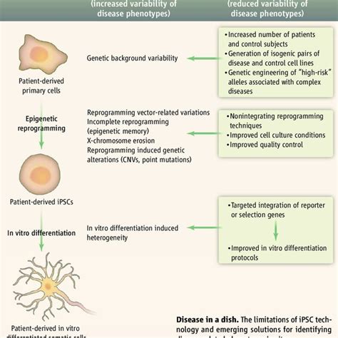 (PDF) iPSC disease modeling