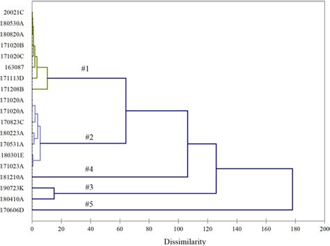 Dendrogram Obtained From Agglomerative Hierarchical Clustering Of