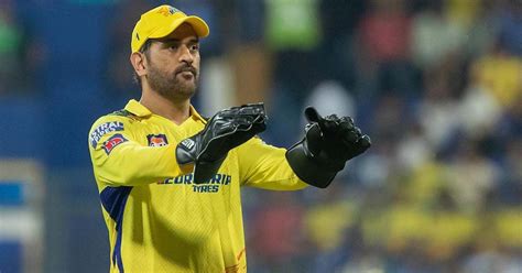 3 Reasons Why Ms Dhoni Will Play Ipl 2025 Check Here