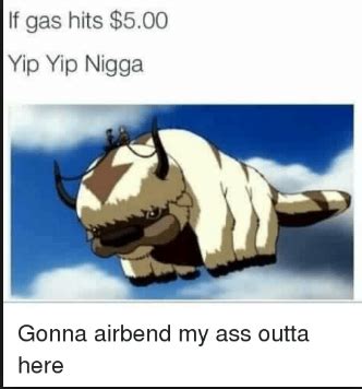 Appa! Yip Yip! : r/TheLastAirbender