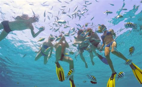 La Mejor Forma De Hacer Snorkel En Familia En Punta Cana G Zate Punta